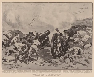 Es ist noch Leben im alten Hund